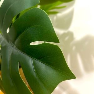 Meet your Posher, Summer